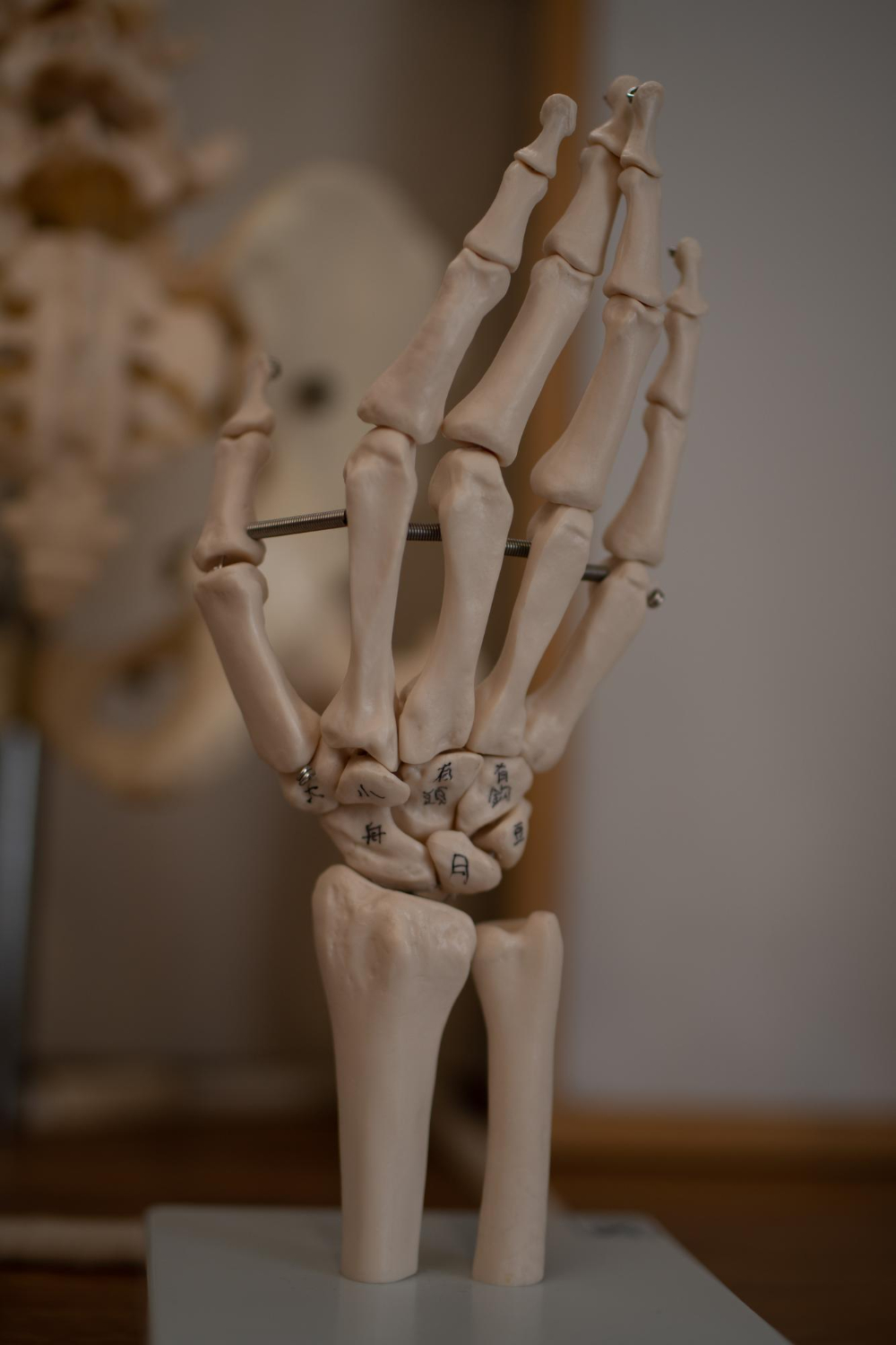 Physiotherapie Berlin